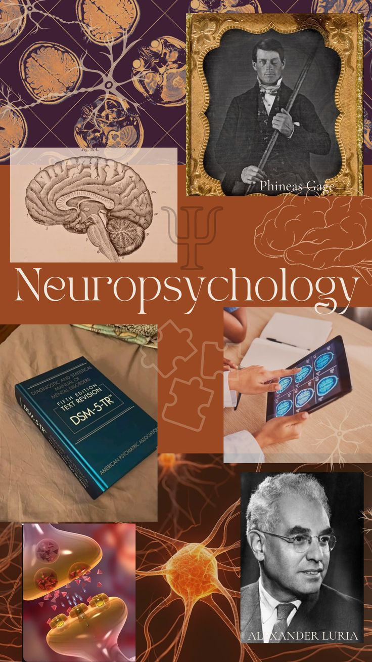 Neuropsychology: An Overview 